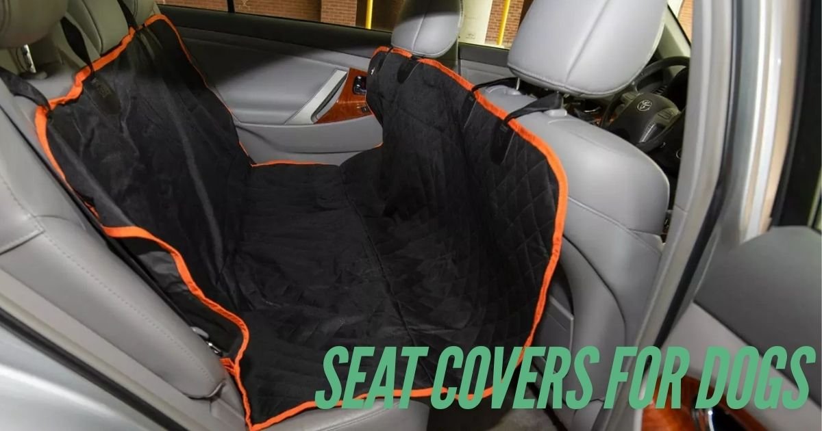 Best Car Seat Covers For Dogs